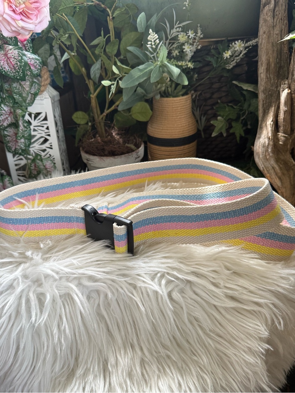 Summer Pastel Stripe Web Belt with Plastic Buckle